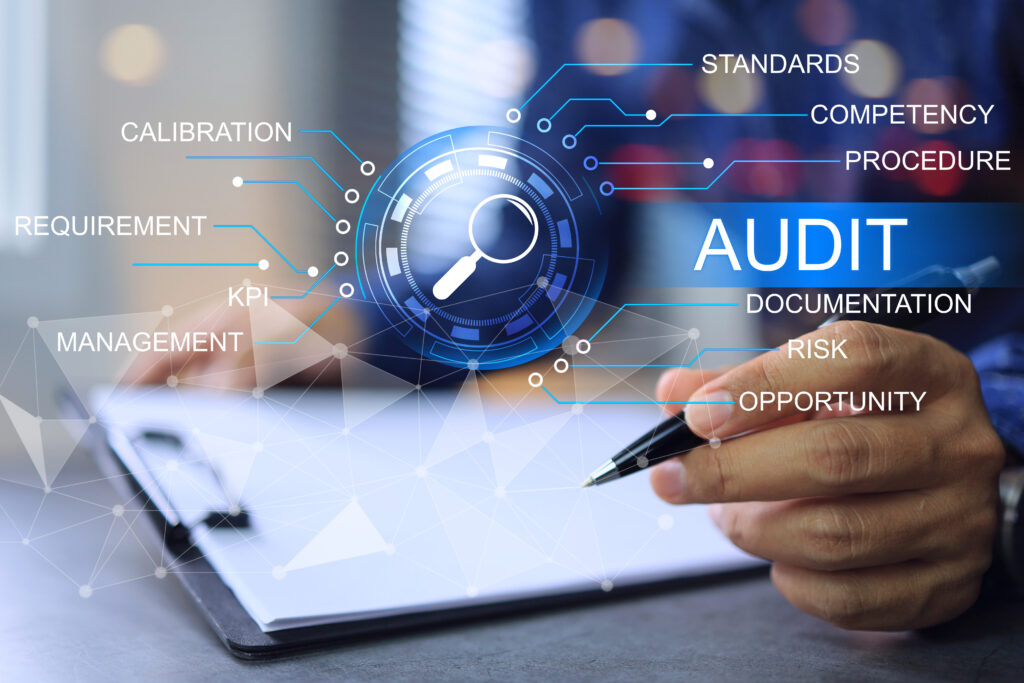 Audit services from BLUE WOLF