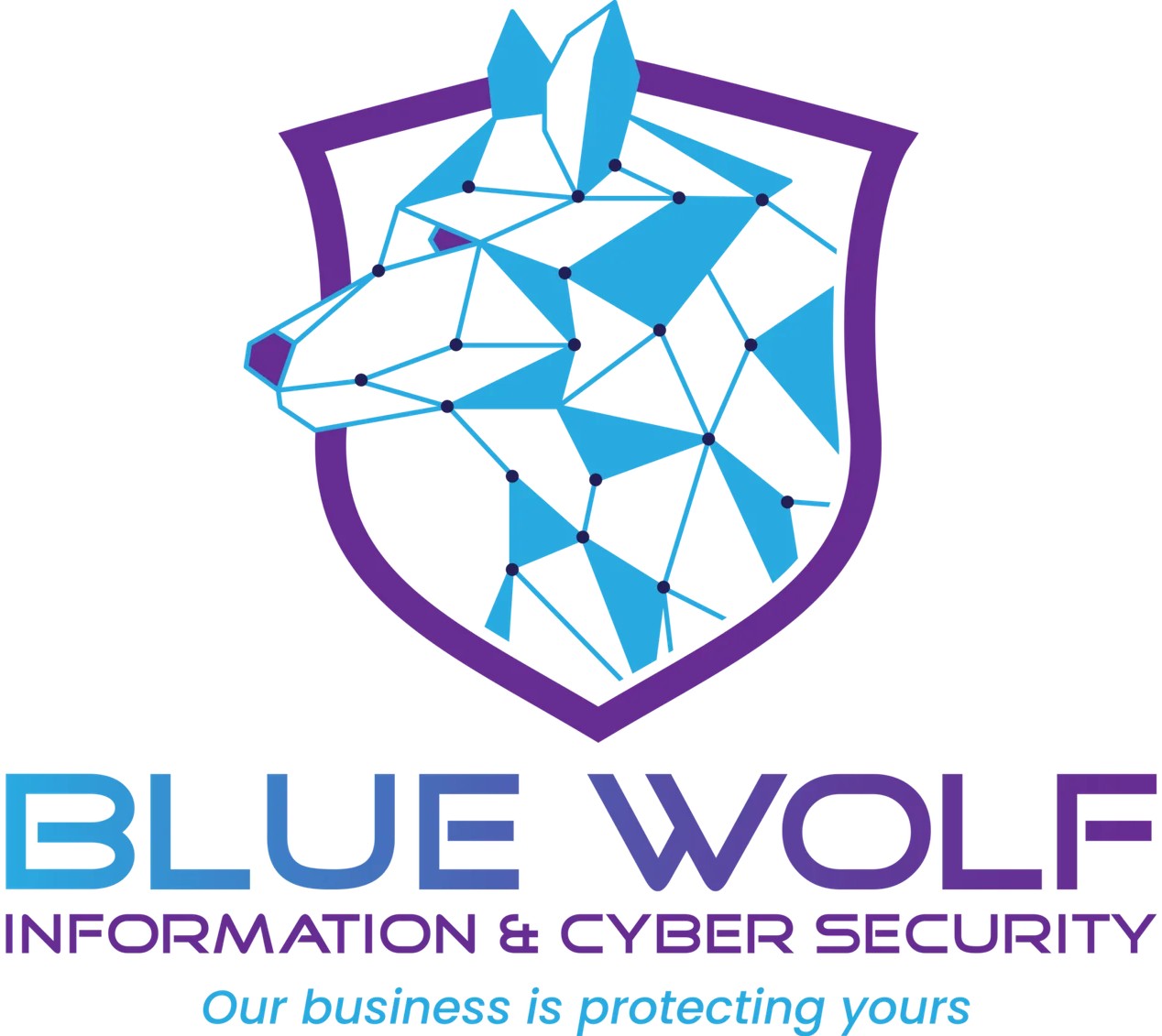 BLUE WOLF Information and Cyber Security